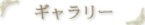 ギャラリー